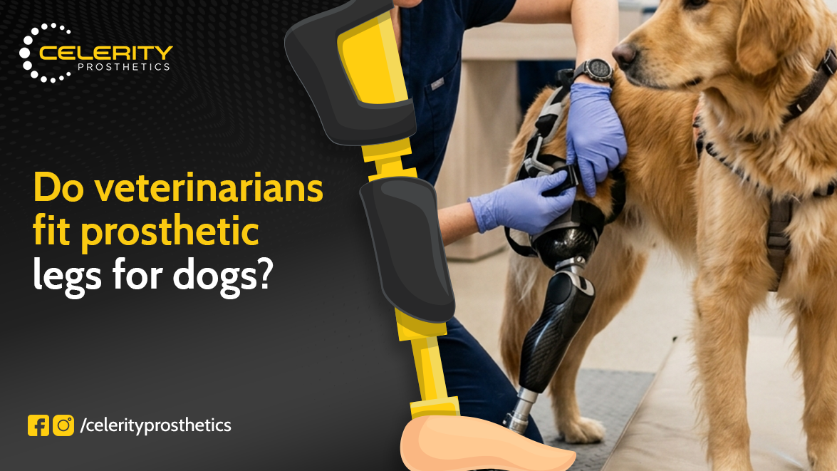 prosthetic leg for dog