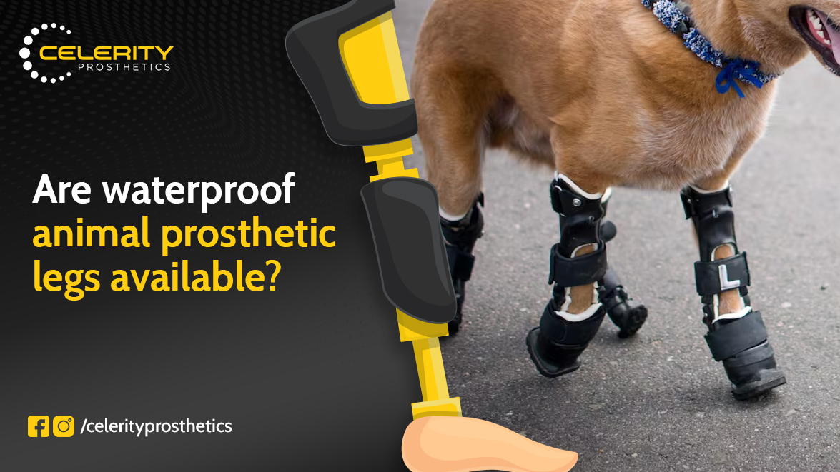 animal prosthetic leg